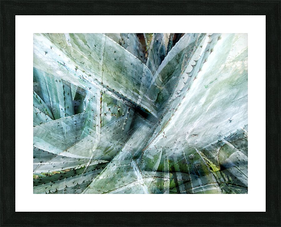 V1571 Picture Frame print