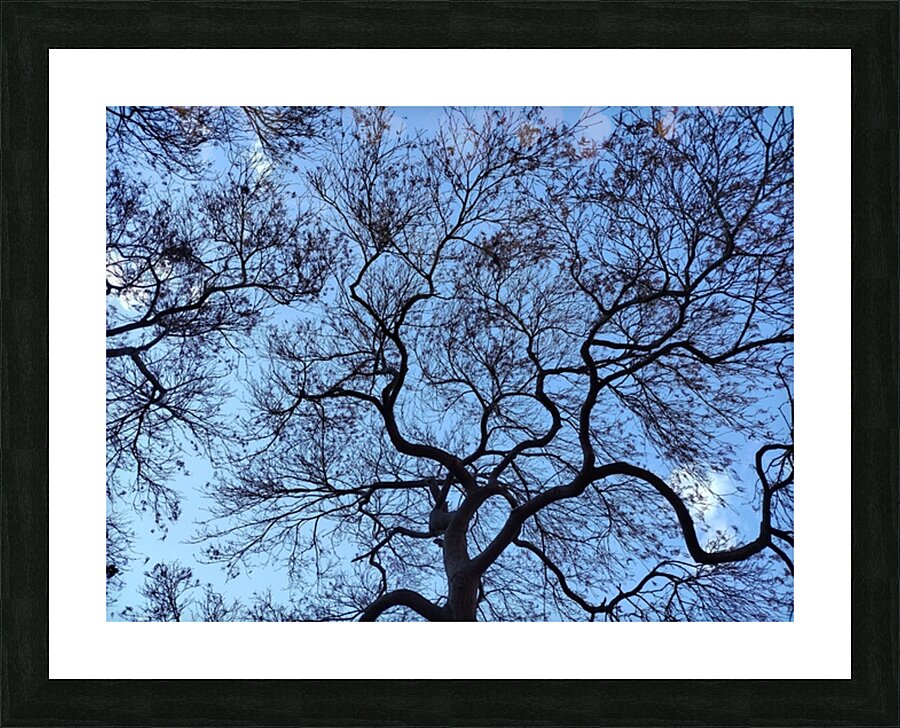 V1572 Picture Frame print