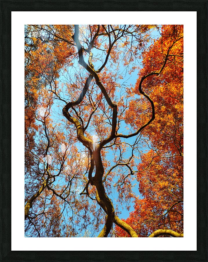 V1573 Picture Frame print
