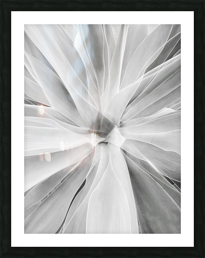 V1574 Picture Frame print
