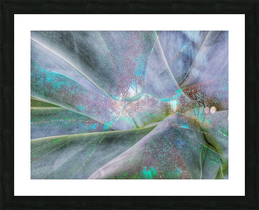 V1575 Picture Frame print