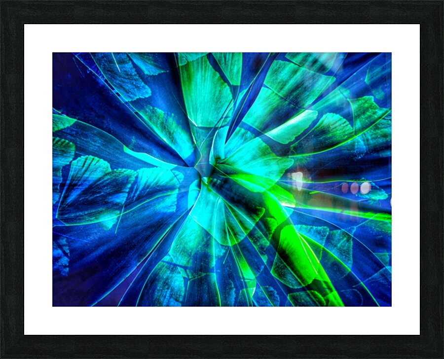 V1576 Picture Frame print