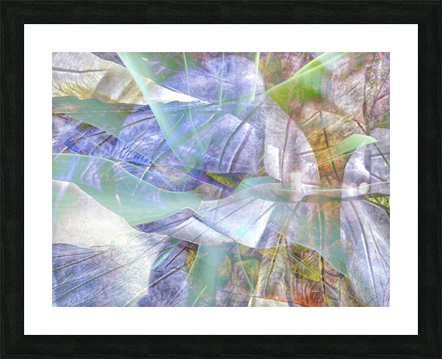V1577 Picture Frame print