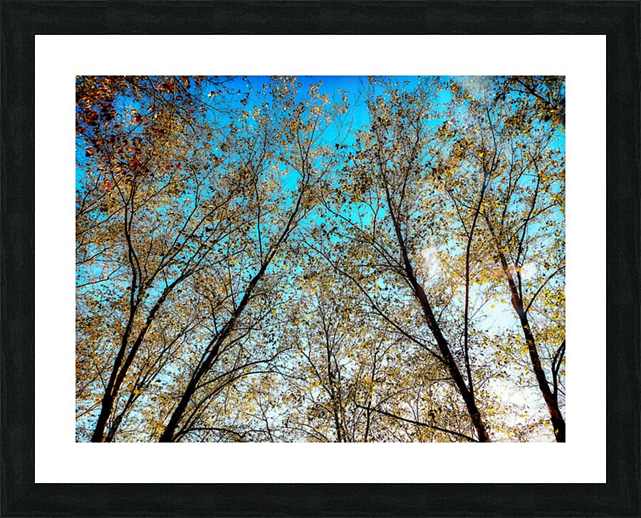 V1579 Picture Frame print
