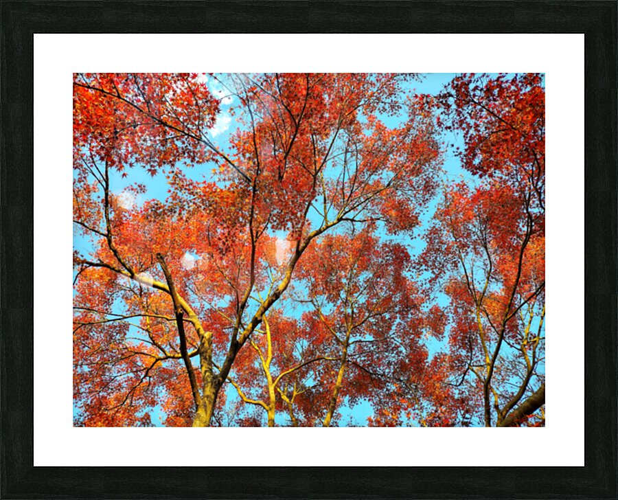 V1580 Picture Frame print