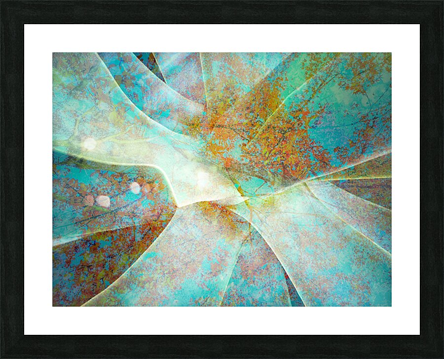 V1581 Picture Frame print
