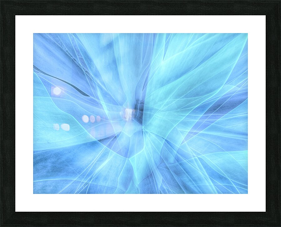 V1582 Picture Frame print