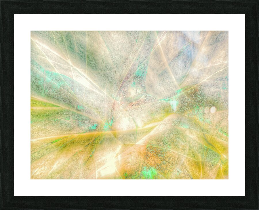 V1583 Picture Frame print