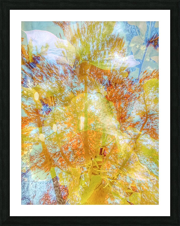 V1584 Picture Frame print