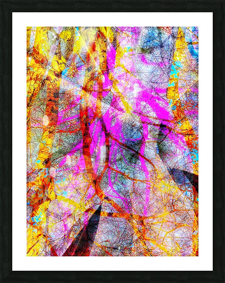 V1586 Picture Frame print
