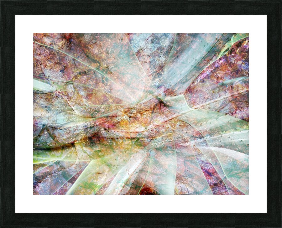 V1587 Picture Frame print