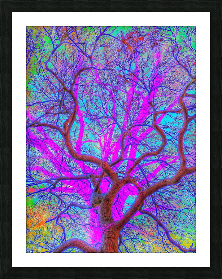V1589 Picture Frame print