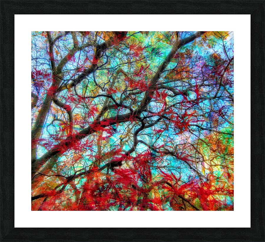 V1591 Picture Frame print