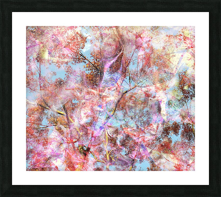 V1592 Picture Frame print