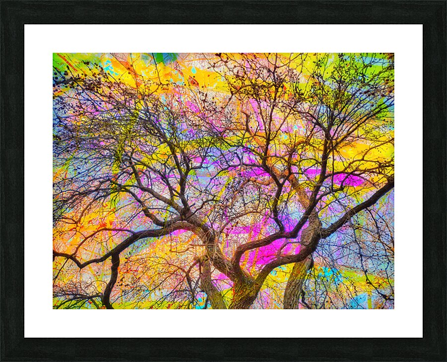 V1593 Picture Frame print
