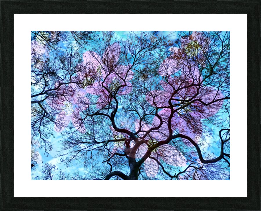 V1595 Picture Frame print