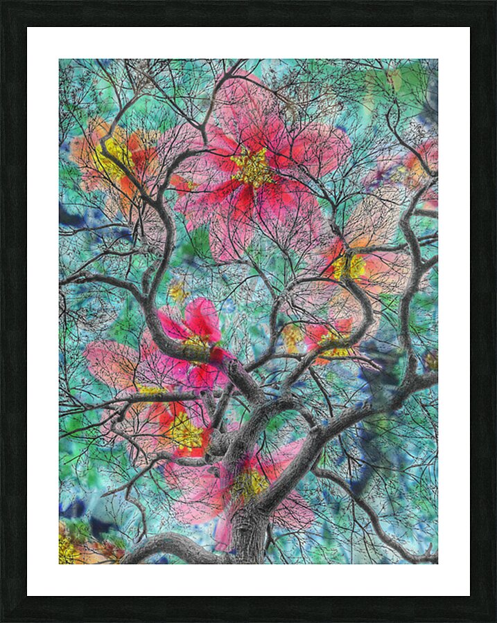 V1596 Picture Frame print