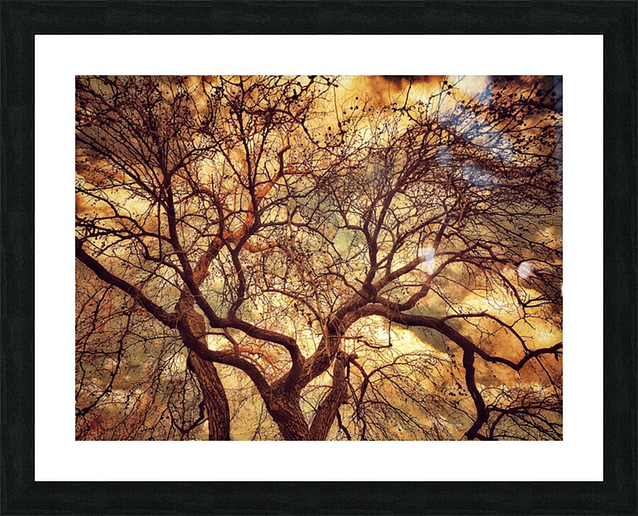 V1597 Picture Frame print