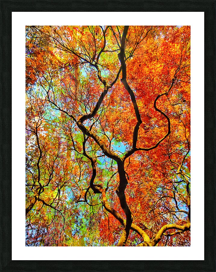 V1600 Picture Frame print