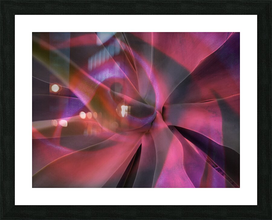 V1604 Picture Frame print