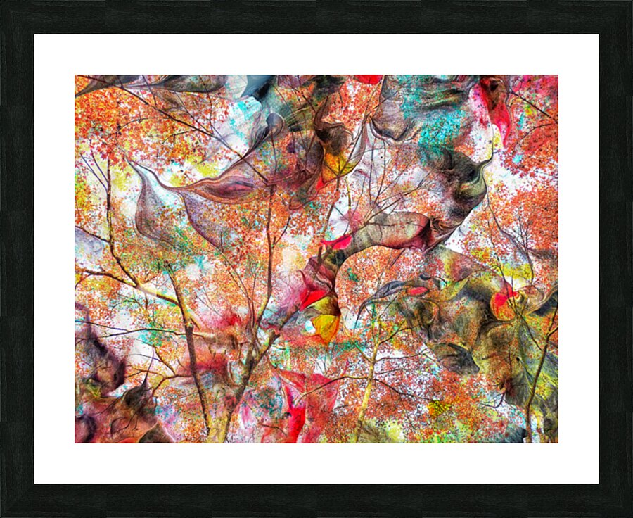 V1605 Picture Frame print