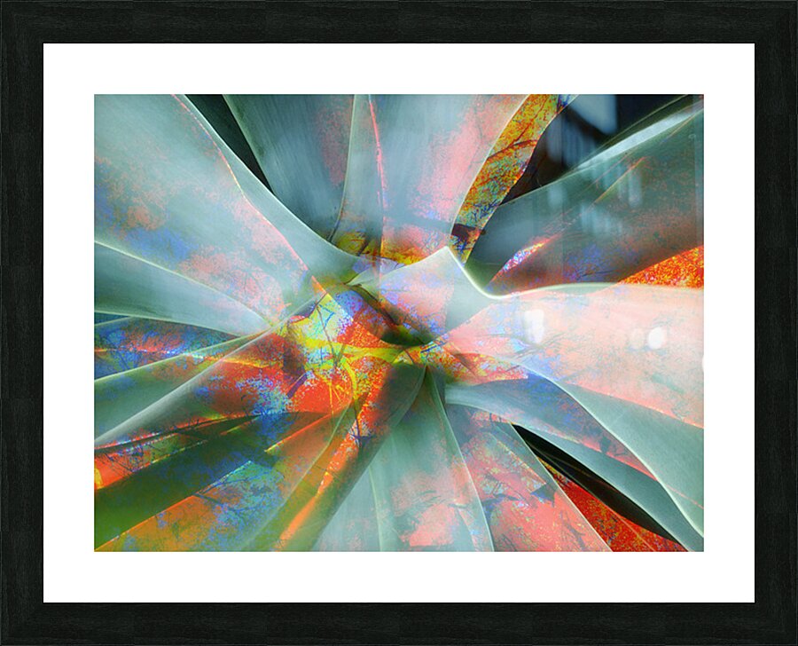 V1606 Picture Frame print