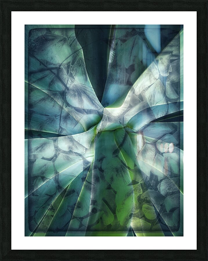 V1618 Picture Frame print