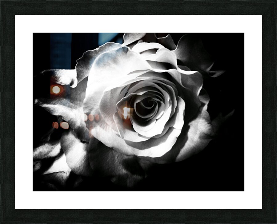V1621 Picture Frame print