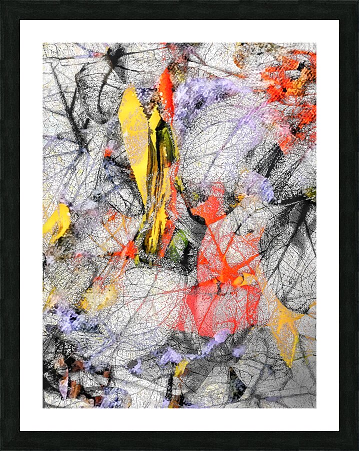V1623 Picture Frame print