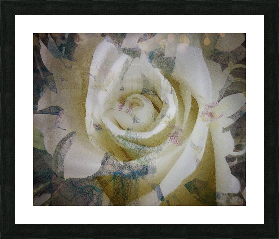 V1626 Picture Frame print
