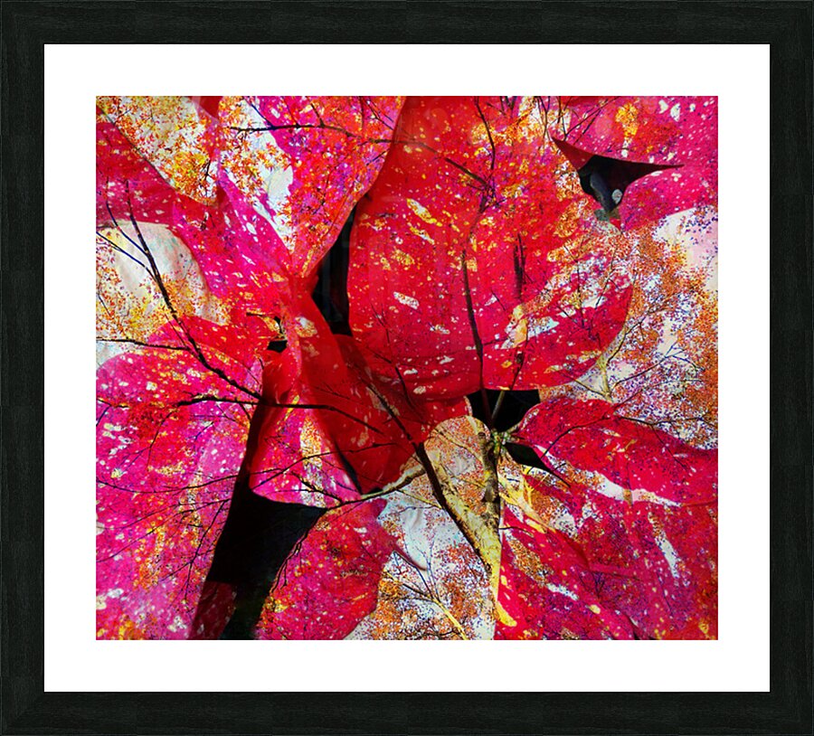 V1627 Picture Frame print