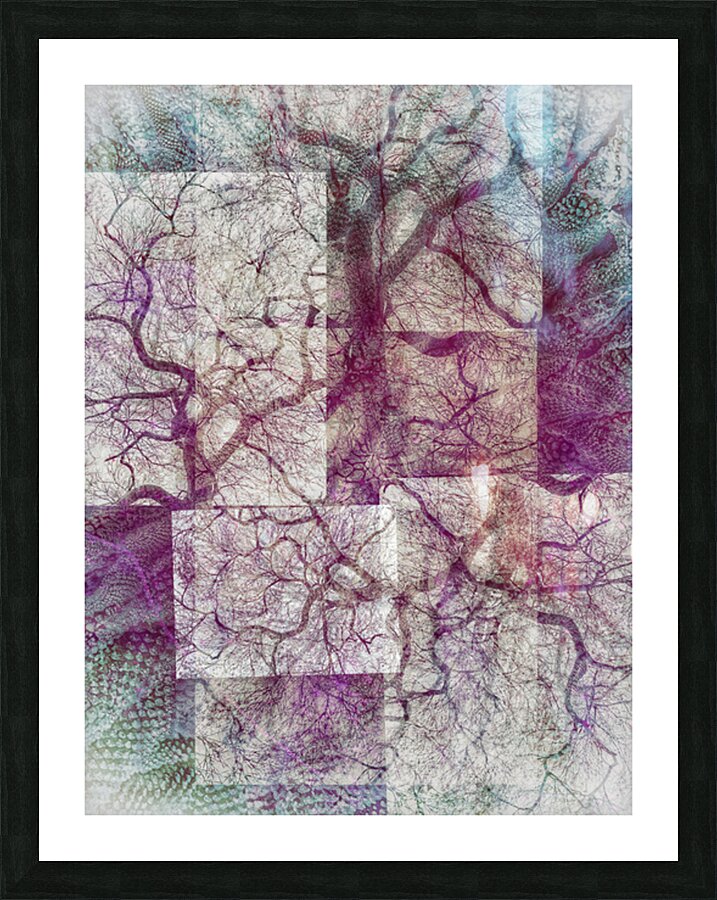 V1629 Picture Frame print
