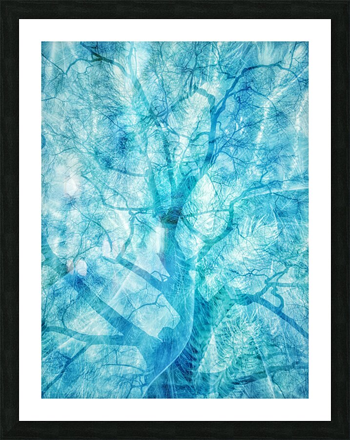 V1630 Picture Frame print
