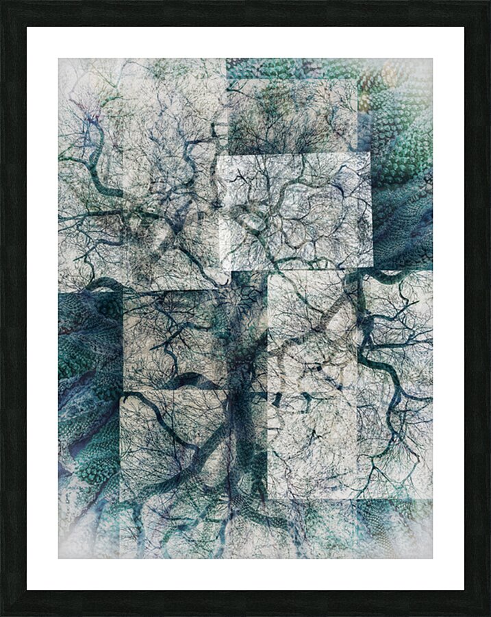 V1633 Picture Frame print