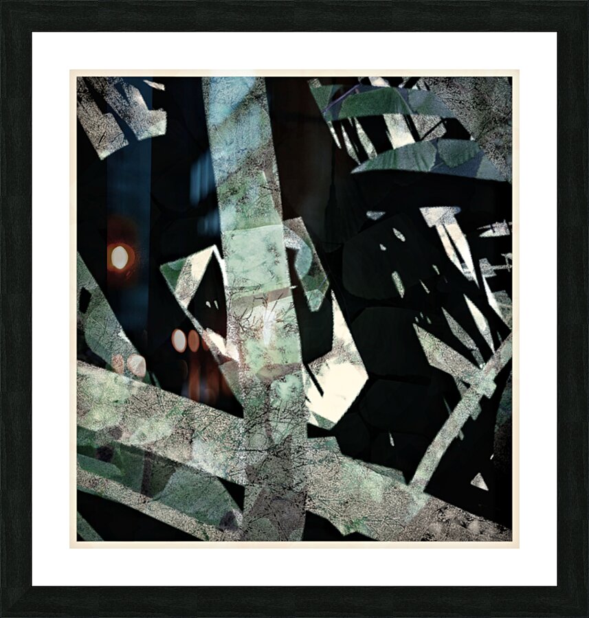 V1635 Picture Frame print
