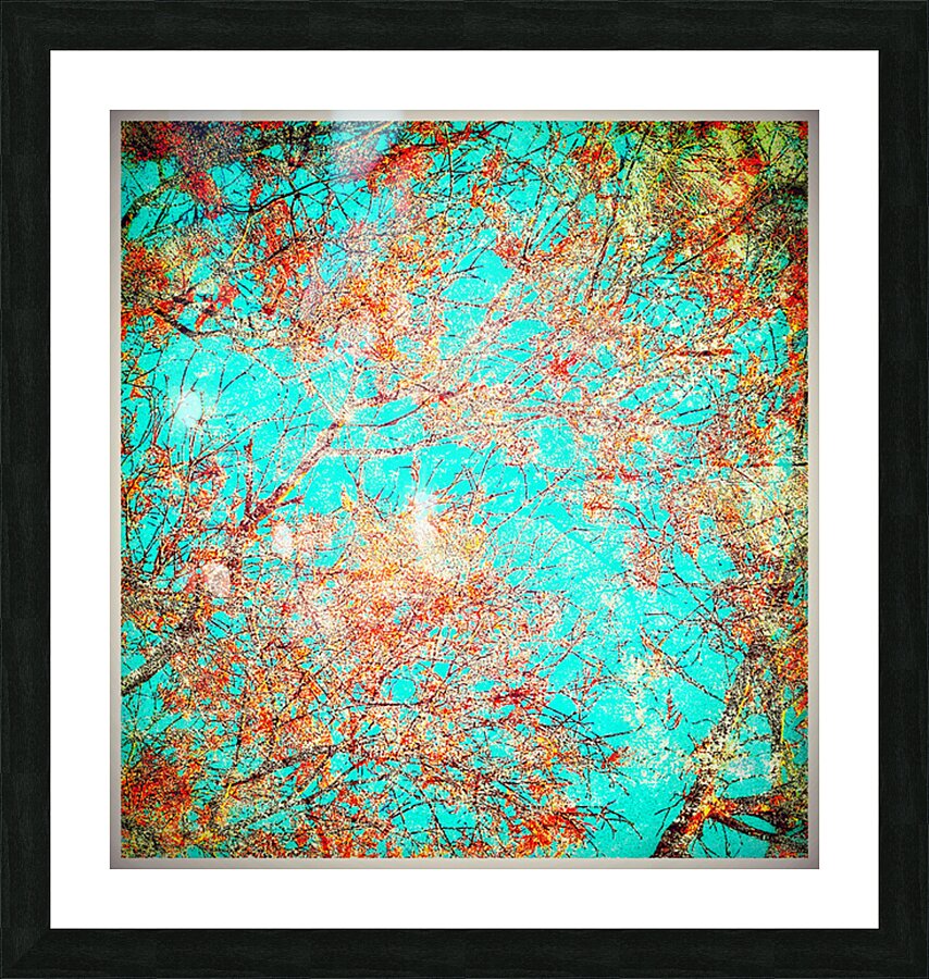 V1637 Picture Frame print