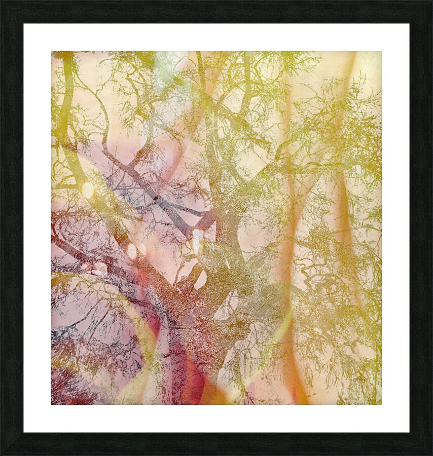 V1638 Picture Frame print