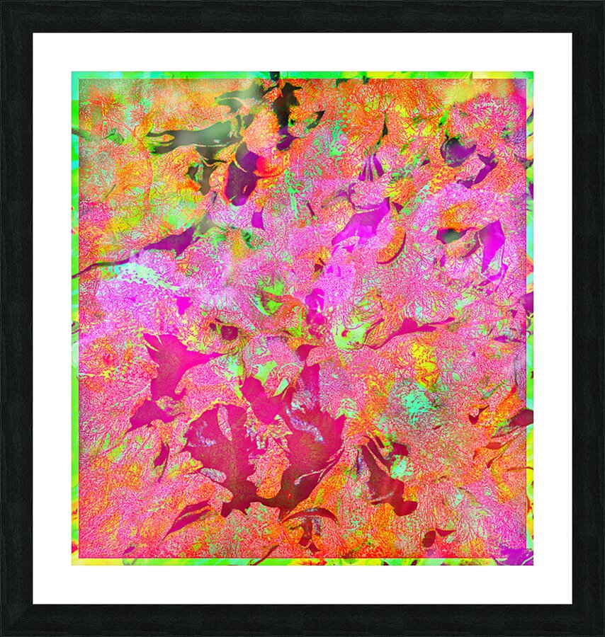 V1641 Picture Frame print