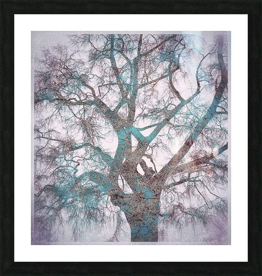 V1642 Picture Frame print