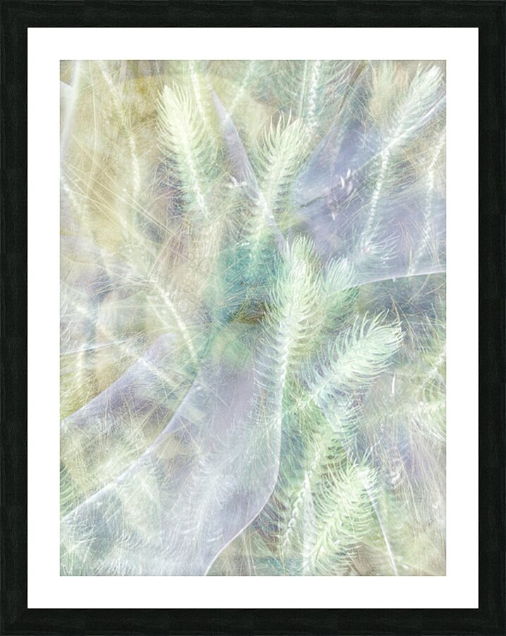 V1644 Picture Frame print