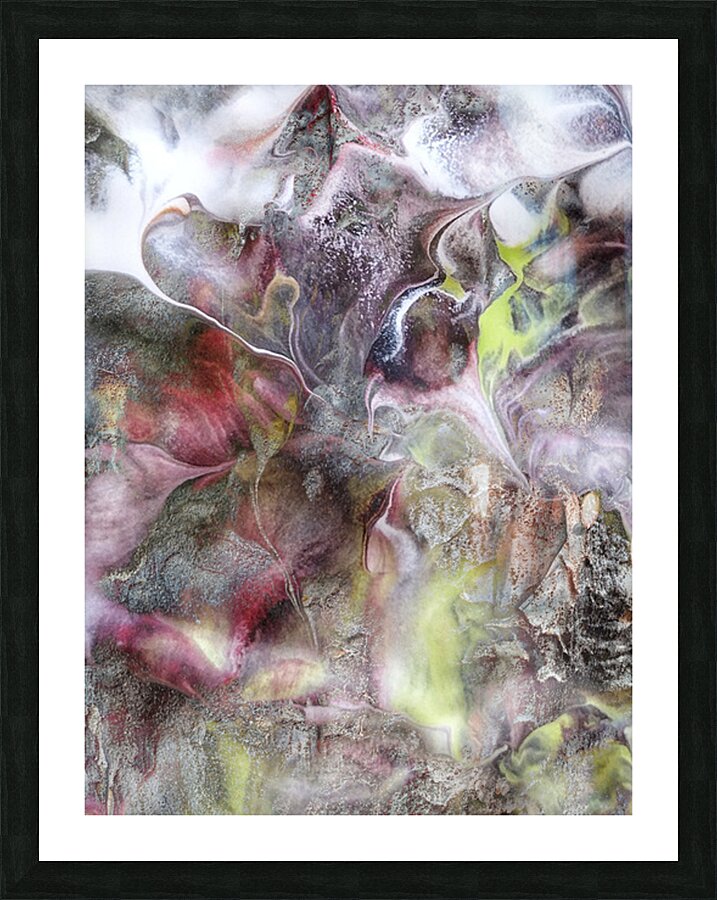 V1645 Picture Frame print