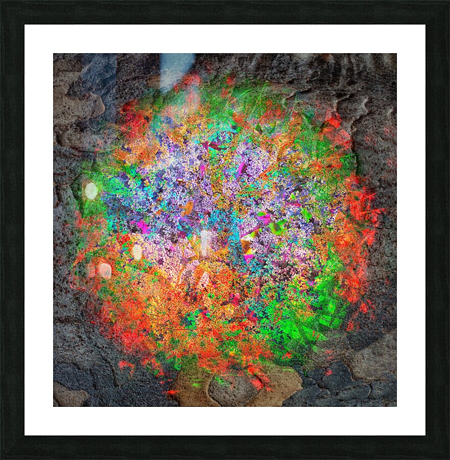 V1646 Picture Frame print