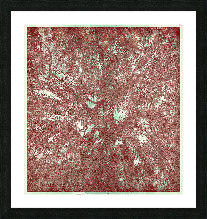 V1649 Picture Frame print