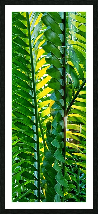 V1653 Picture Frame print