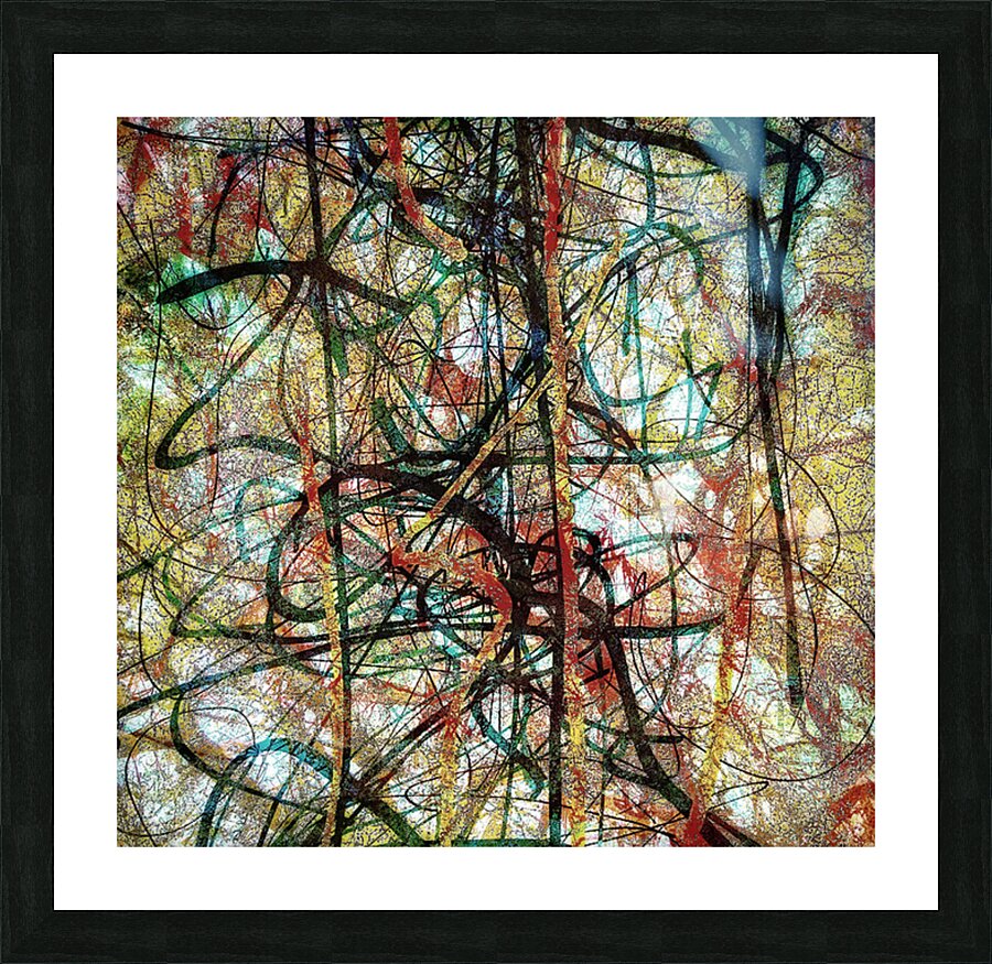 V1655 Picture Frame print