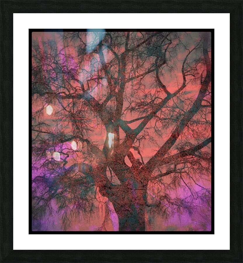 V1657 Picture Frame print