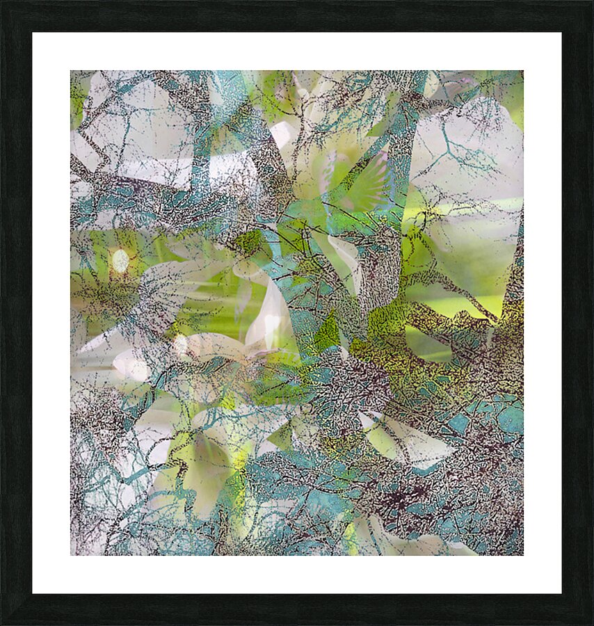 V1658 Picture Frame print