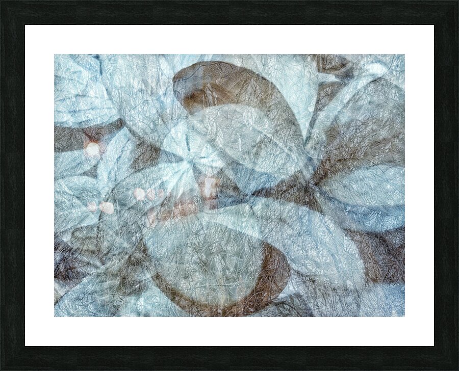V1660 Picture Frame print