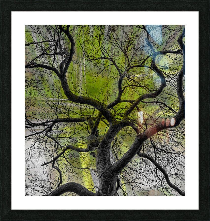 V1661 Picture Frame print