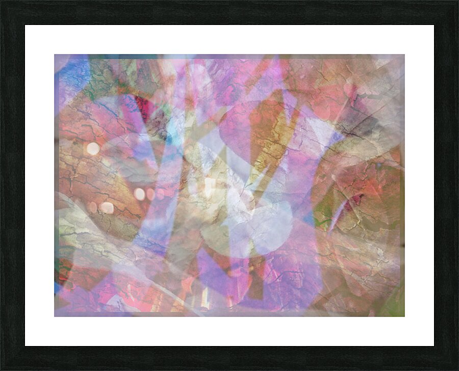 V1663 Picture Frame print